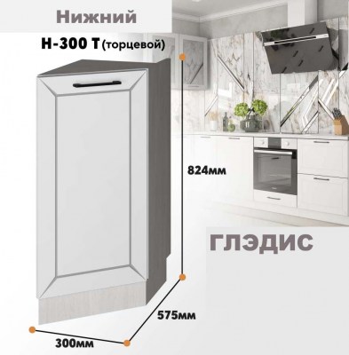 gledis_n_300t_1