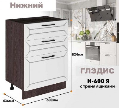 gledis_n_600ia_3