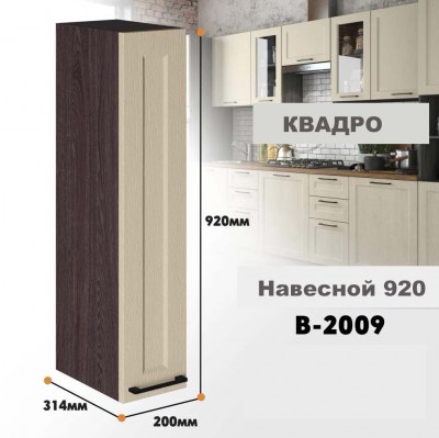 kvadro_v_2009_9