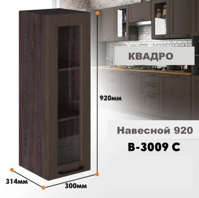 kvadro_v_3009s_7