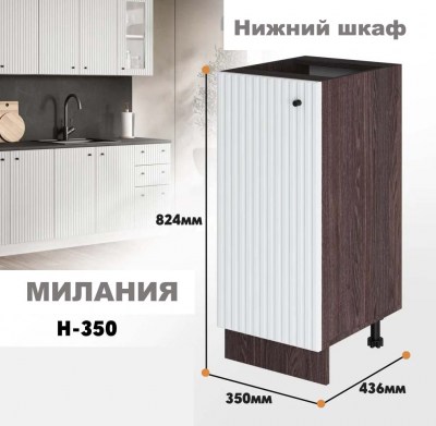 milaniia_n_350_3