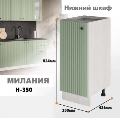 milaniia_n_350_8