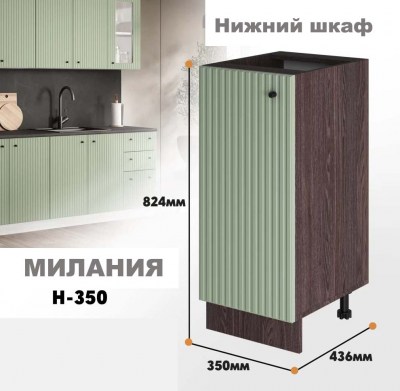 milaniia_n_350_9