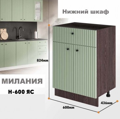 milaniia_n_600ias_9