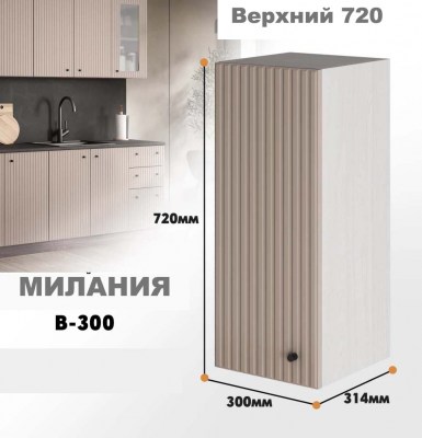 milaniia_v_300_3