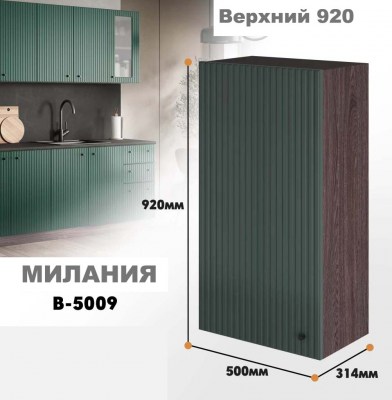 milaniia_v_5009_10