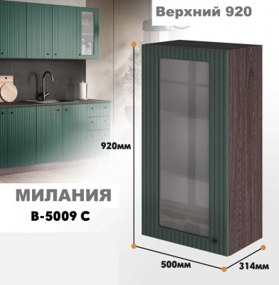 milaniia_v_5009c_10