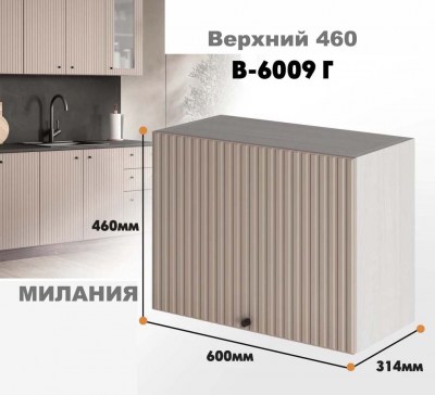 milaniia_v_6009g_10