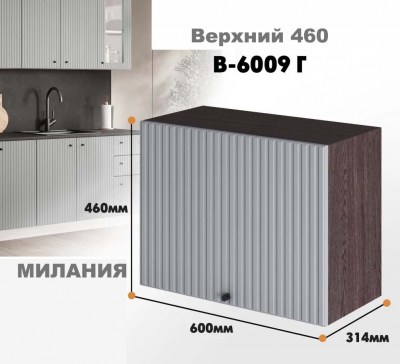 milaniia_v_6009g_5
