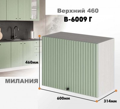 milaniia_v_6009g_6