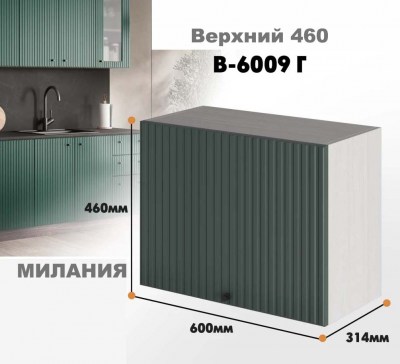 milaniia_v_6009g_8
