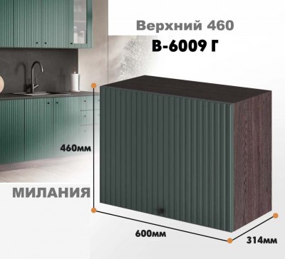 milaniia_v_6009g_9