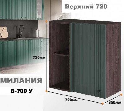 milaniia_v_700u_11