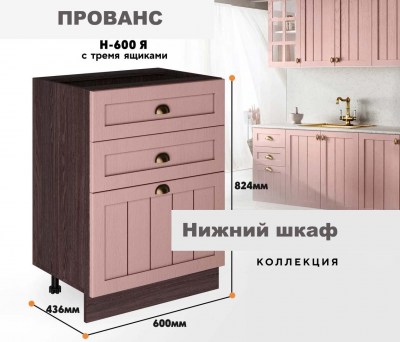 provans_n_600ia_11
